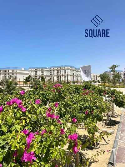 2 Bedroom Apartment for Sale in North Coast, Matruh - IMG-20250601-WA0034. jpg