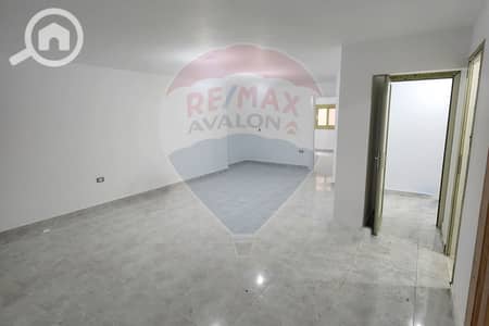 مکتب  للايجار في سابا باشا، الإسكندرية - 1. jpg