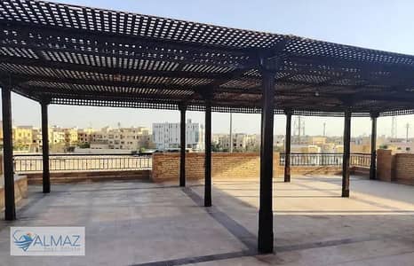 شقة 2 غرفة نوم للايجار في القاهرة الجديدة، القاهرة - IMG-20250624-WA0082. jpg