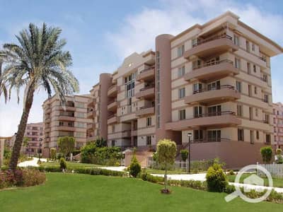 شقة 3 غرف نوم للبيع في القاهرة الجديدة، القاهرة - 5cd93c7e5f0d2741165380 (1)_800x600. jpg