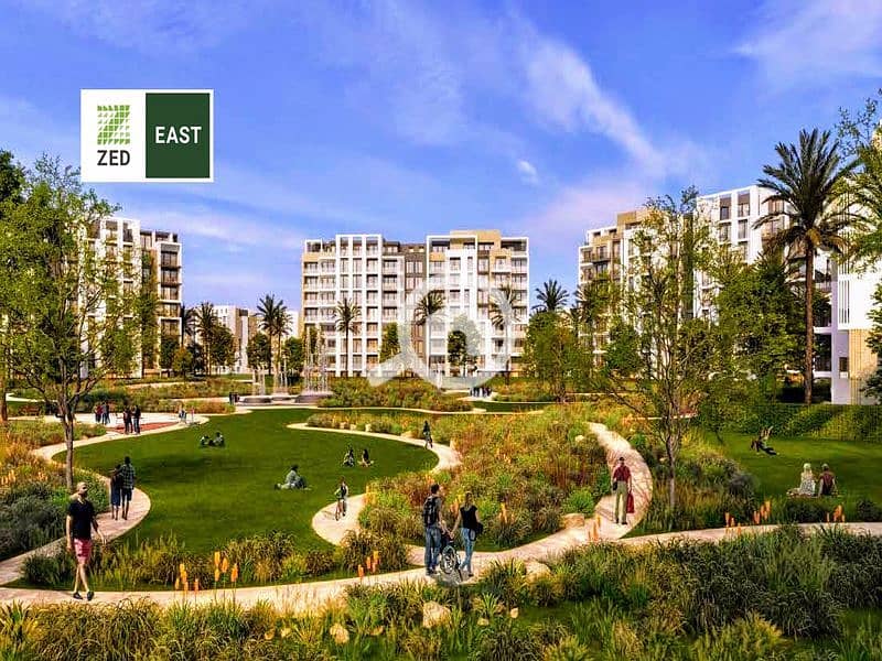2 Zed East 2_800x600. jpg