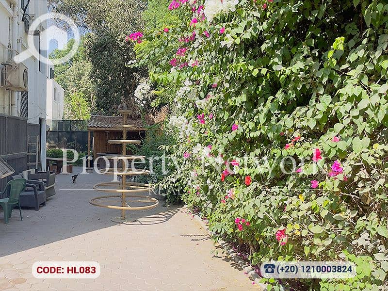2 HL083 (2). png