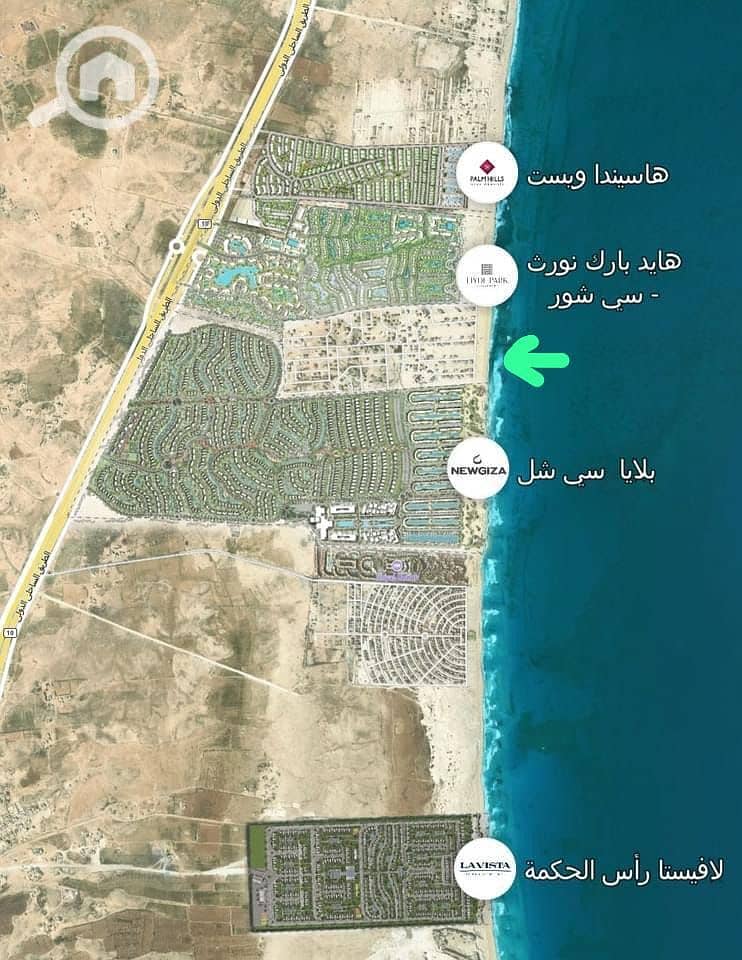 راس. jpg