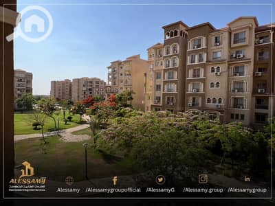 3 Bedroom Flat for Sale in Madinaty, Cairo - WhatsApp Image 2025-06-24 at 3.21. 47 PM. jpeg