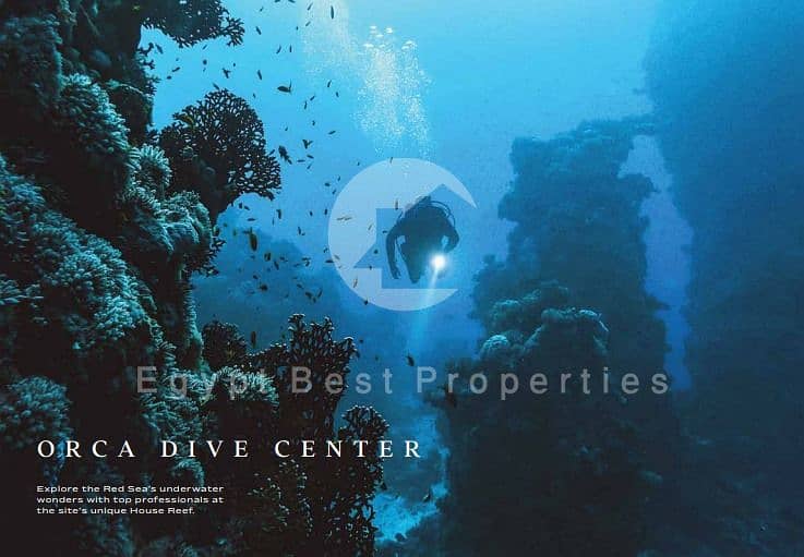 3 IMG-20250210-WA0385. jpg