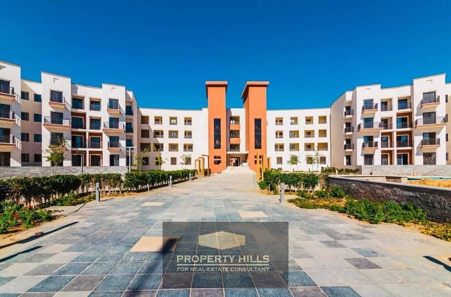 4 WhatsApp Image 2024-11-24 at 3.53. 02 PM. jpeg