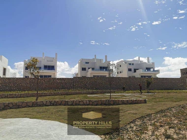 Screenshot 2025-05-29 114107. png Screenshot 2025-05-29 114107. png