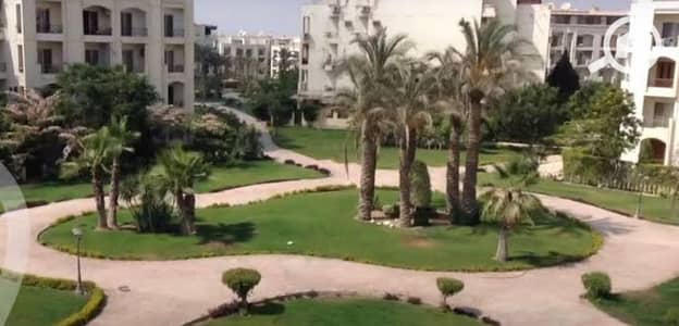 3 Bedroom Flat for Sale in Sheikh Zayed, Giza - WhatsApp Image 2024-11-12 at 2.15. 51 PM (1). jpeg