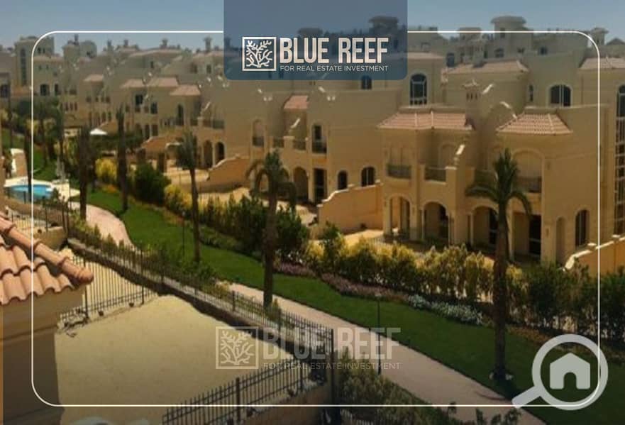 2 Bluereef  - Templete. psdsdfcv بب. jpg