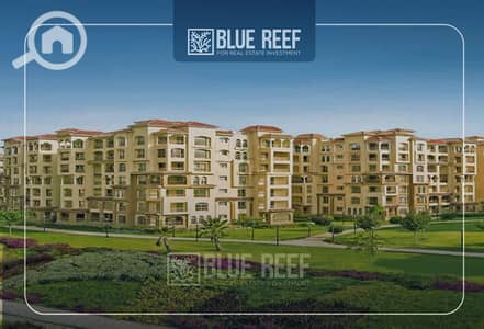 شقة 3 غرف نوم للبيع في مدينة الشروق، القاهرة - Bluereef  - Templete. psdsdfcv بببي. jpg