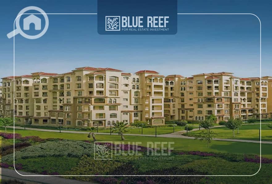 Bluereef - Templete. psdsdfcv بببي. jpg Bluereef - Templete. psdsdfcv بببي. jpg