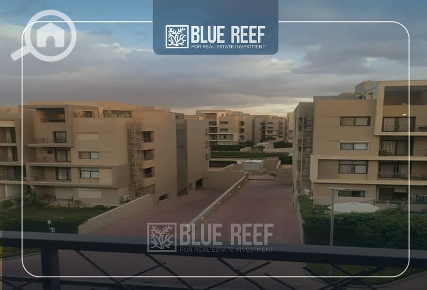 6 Bluereef  - Templete. psdsdfcv لاىلاة. jpg