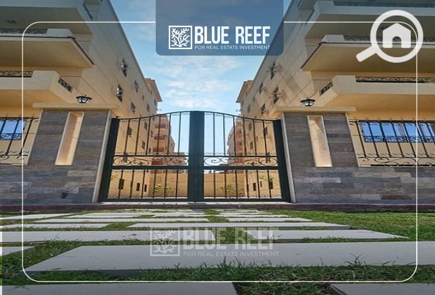 10 Bluereef  - Templete. psdsdfcv ئئ. jpg