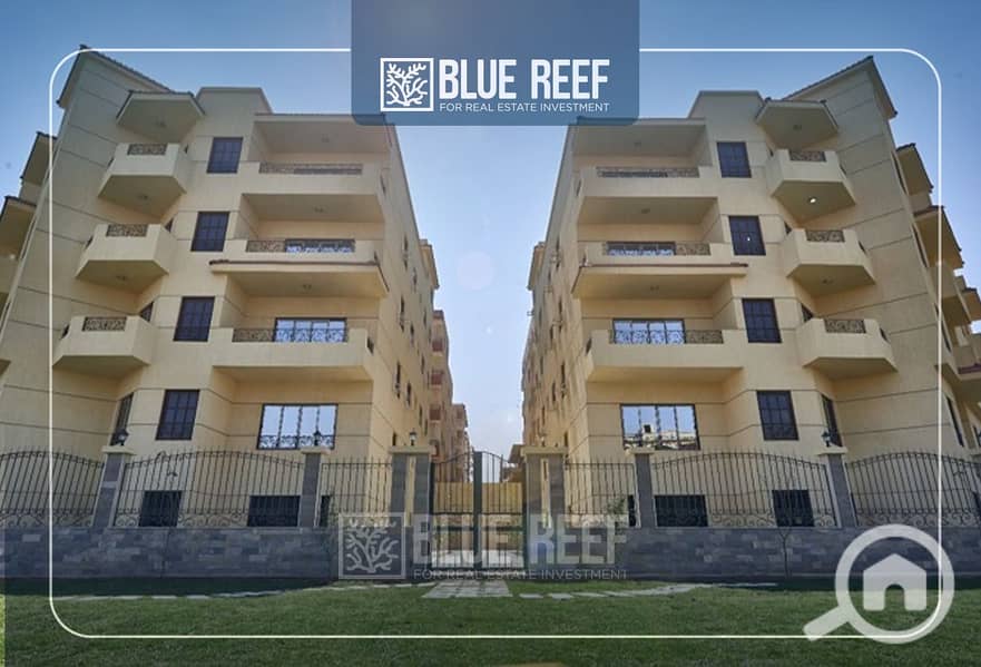 6 Bluereef  - Templete. psdsdfcv ش. jpg