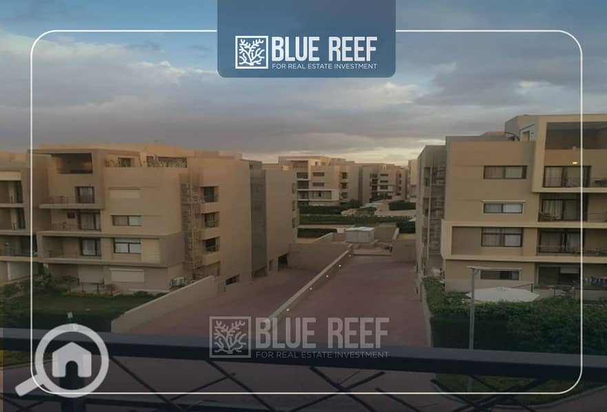 8 Bluereef  - Templete. psdsdfcv لاىلاة. jpg