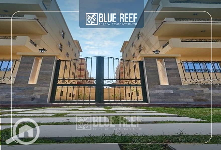 6 Bluereef  - Templete. psdsdfcv ئئ. jpg