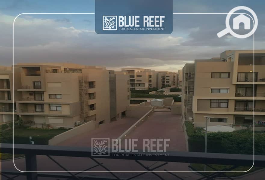 10 Bluereef  - Templete. psdsdfcv لاىلاة. jpg