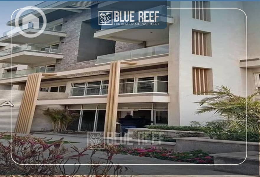 10 Bluereef  - Templete. psdsdfcv (1)-Recovered-cbxfn. jpg