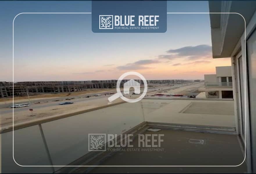 5 Bluereef  - Templete. psdsdfcv (1)-Recovered-xfhg. jpg
