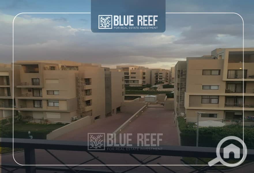6 Bluereef  - Templete. psdsdfcv لاىلاة. jpg