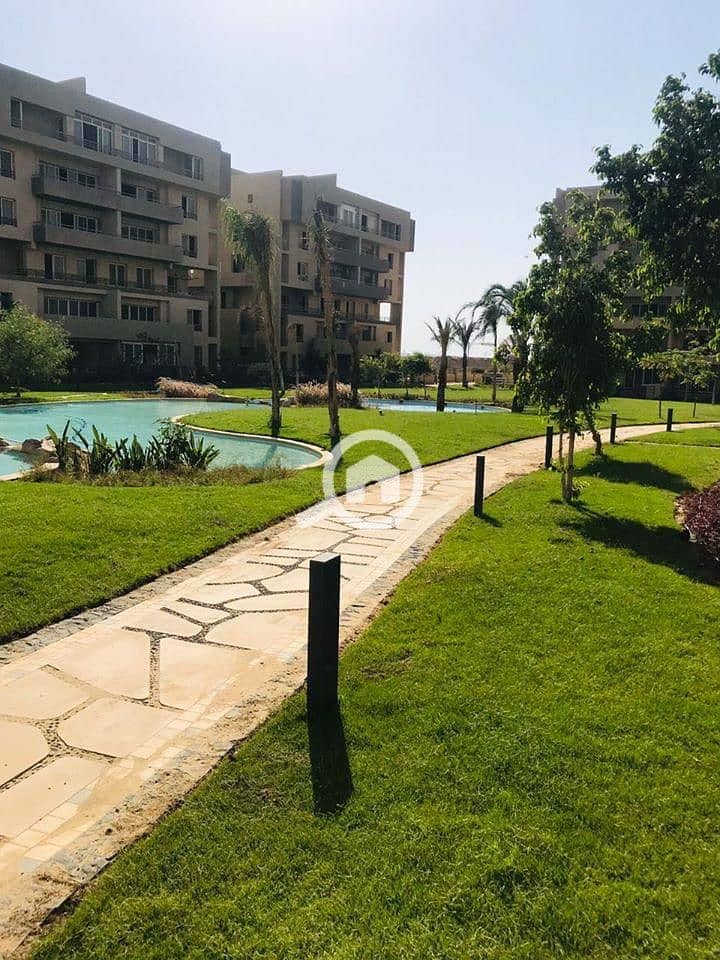 11 سكوير 4. jpg