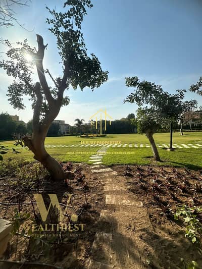 3 Bedroom Villa for Sale in Madinaty, Cairo - WhatsApp Image 2025-04-28 at 10.48. 08 PM. jpeg