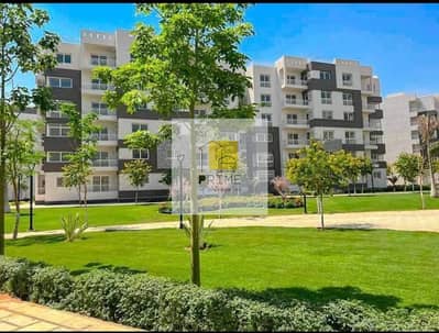 3 Bedroom Apartment for Sale in Madinaty, Cairo - WhatsApp Image 2025-06-21 at 13.3. jpg