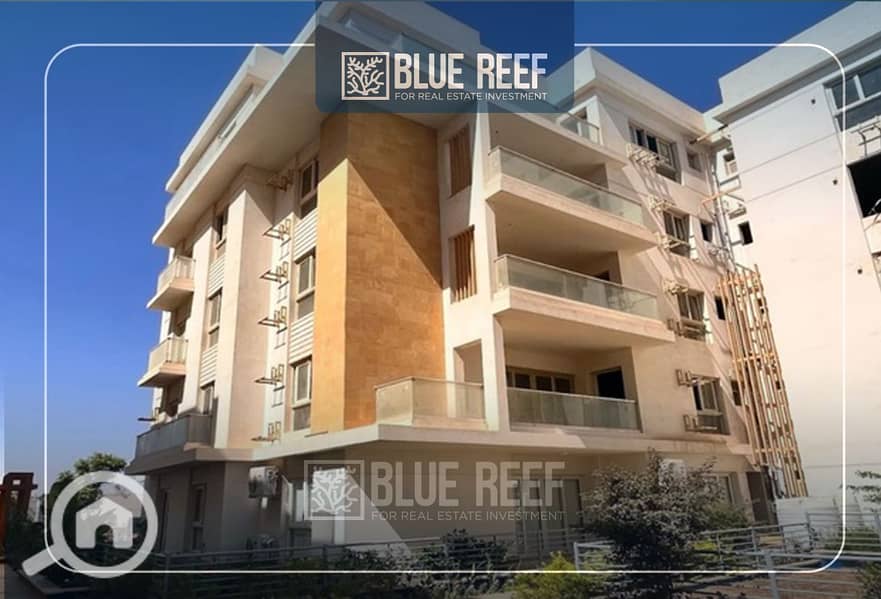 gxgsrdt. jpg gxgsrdt. jpg