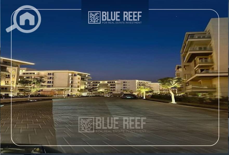 10 Bluereef  - Templete. psdsdfcv fjfjh. jpg