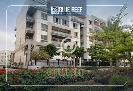 2 Bedroom Apartment for Sale in New Cairo, Cairo - Bluereef  - Templete. psdsdfcv bnm. jpg