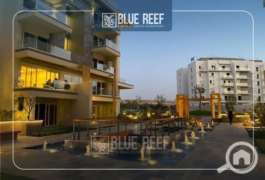 5 Bluereef  - Templete. psdsdfcv nkljlkj. jpg