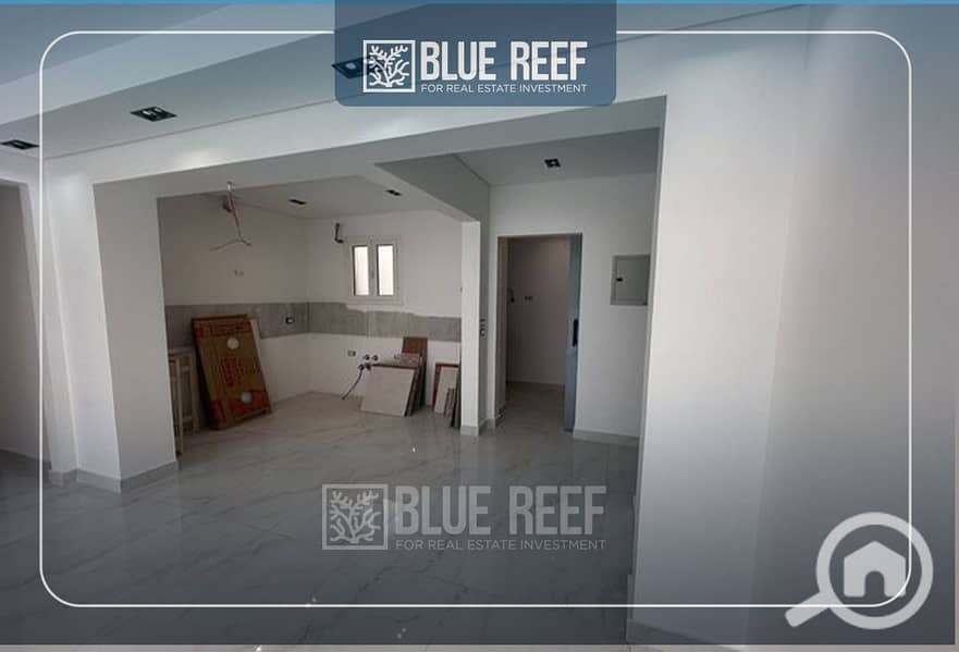 6 Bluereef  - Templete. psdsdfcv (1)-Recovered-hfkk. jpg