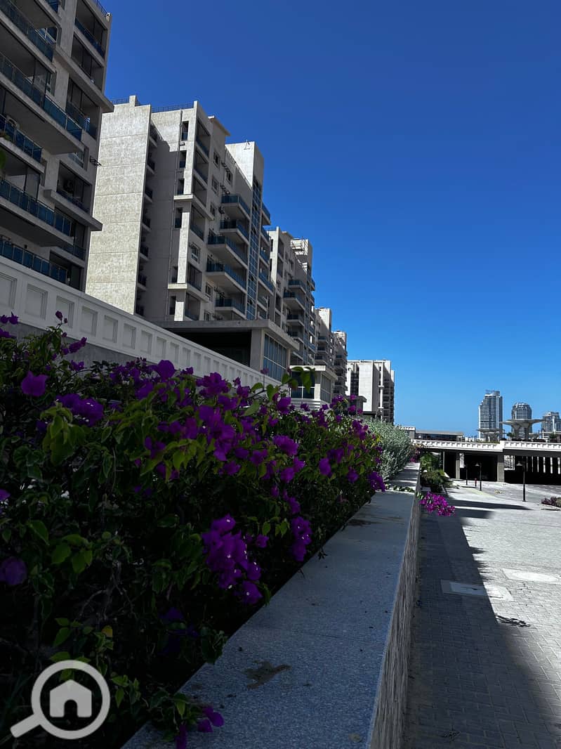 8 Downtown -2. jpg
