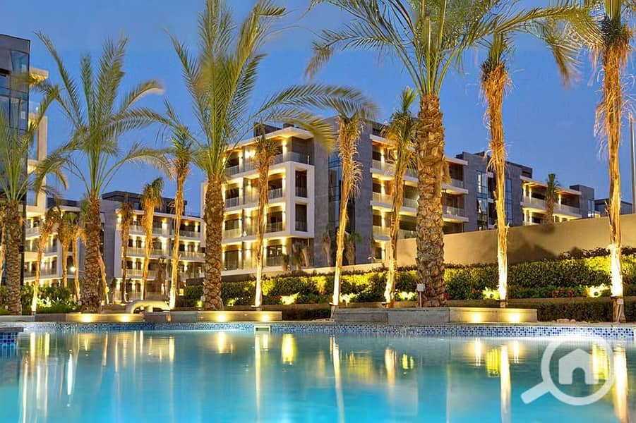11 lavista el patio oro. jpg