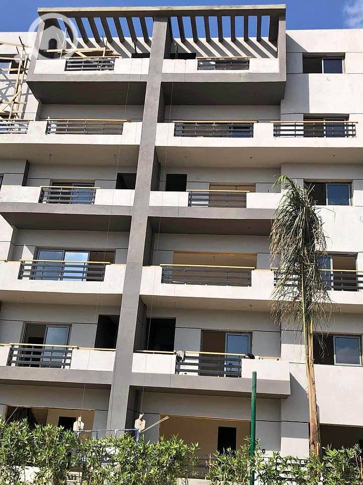 4 stoda heliopolis. jpg