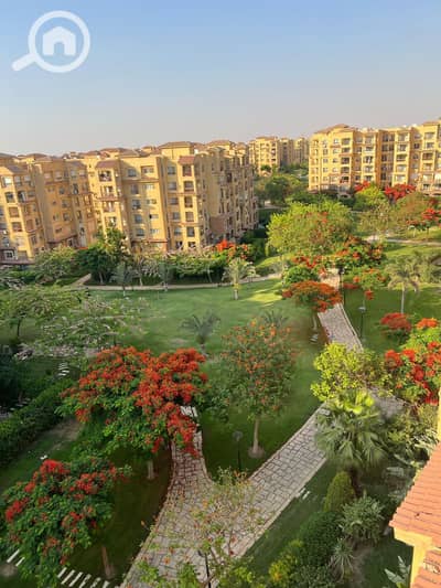 3 Bedroom Flat for Sale in Madinaty, Cairo - WhatsApp Image 2025-07-01 at 11.29. 08 AM. jpeg