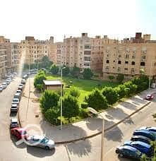 2 el nargs2. jpg