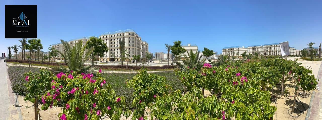 16 صورة واتساب بتاريخ 2025-03-20 في 19.51. 02_da3062c2. jpg