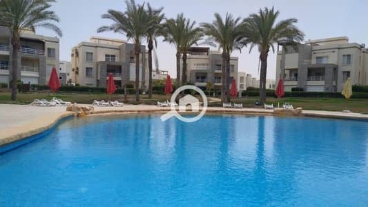 4 Bedroom Twin House for Sale in North Coast, Matruh - IMG-20250621-WA0022. jpg