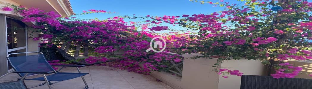 شاليه 3 غرف نوم للبيع في العين السخنة، السويس - IMG-20250702-WA0060. jpg