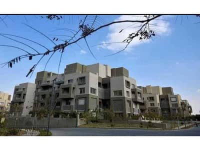 2 Bedroom Apartment for Rent in New Cairo, Cairo - WhatsApp Image 2025-07-03 at 1.03. 18 AM. jpg