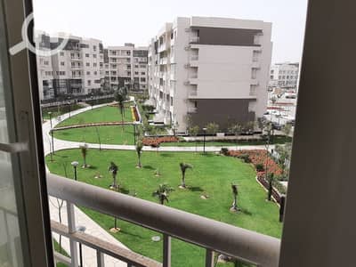 3 Bedroom Flat for Sale in Madinaty, Cairo - WhatsApp Image 2025-01-18 at 3.00. 52 PM. jpeg