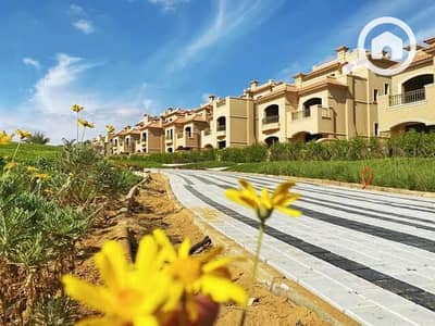 4 Bedroom Townhouse for Sale in New Capital City, Cairo - 494225716_10171020137260265_5965489051835692551_n. jpg