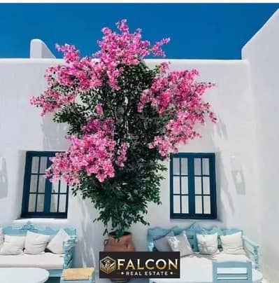 3 Bedroom Villa for Sale in North Coast, Matruh - WhatsApp Image 2025-07-02 at 5.17. 17 PM (1). jpeg