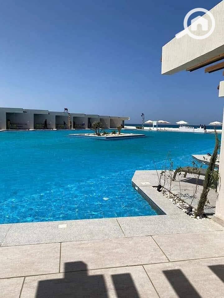 5 دايركشن وايت (13). jpg