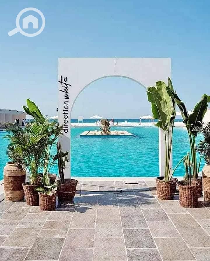 6 دايركشن وايت (6). jpg