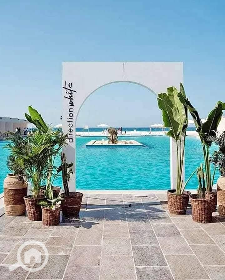 7 دايركشن وايت (6). jpg