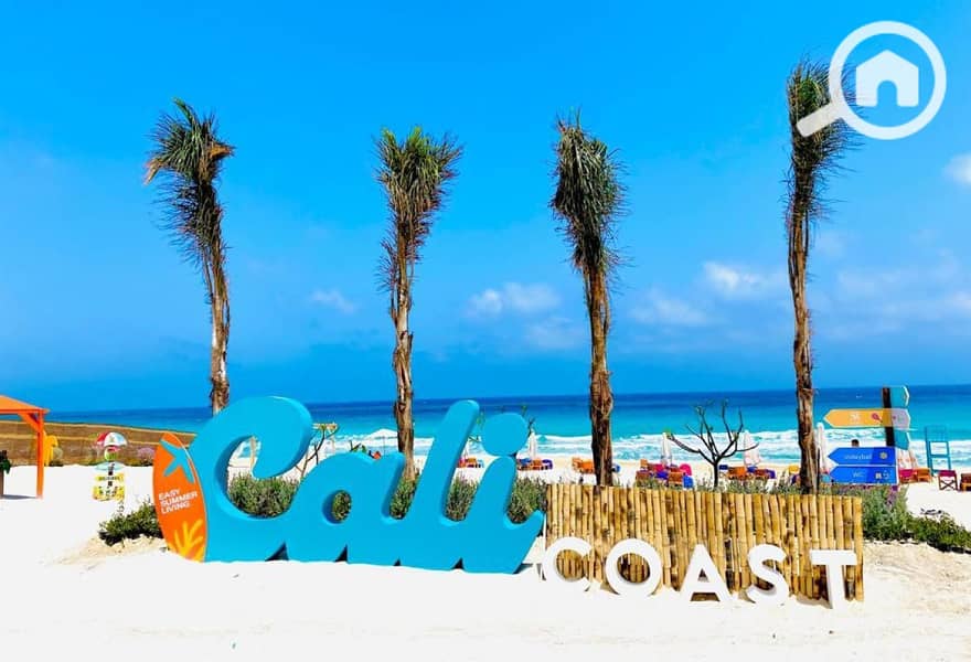 9 cali. jpg