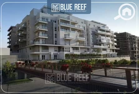 3 Bedroom Apartment for Sale in New Cairo, Cairo - Bluereef  - Templete. psdsdfcv (1)-Recovered. jpg