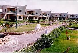 2 29-1. jpg
